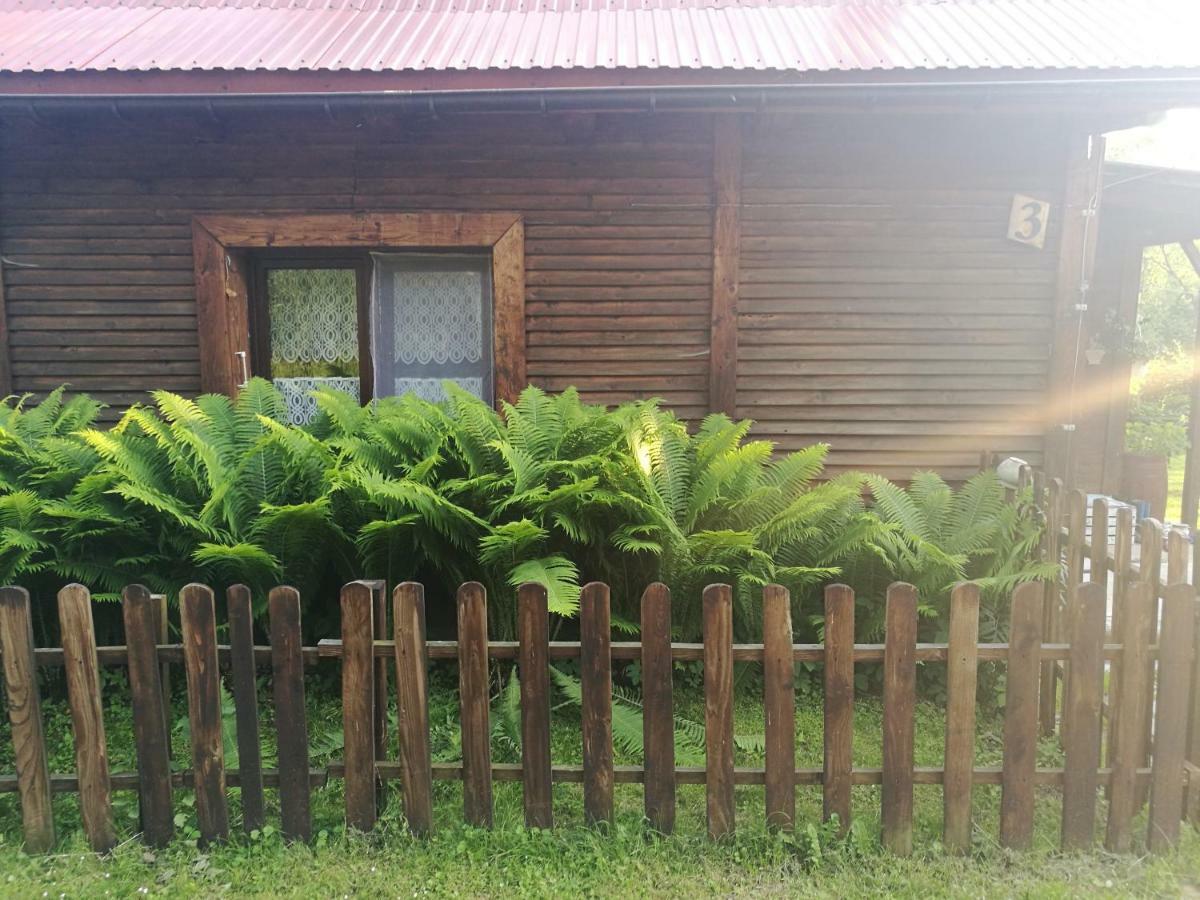 Villa Bieszczadzki Zakatek :-) Skorodne Exterior foto